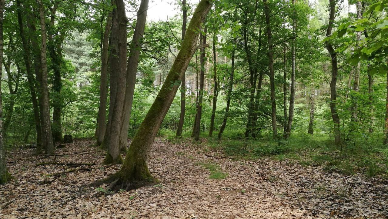 Vila Ferienhaus Dora Rechlin Exteriér fotografie